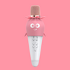 Berry Pop Strawberry Themed Wireless Mic with Built in Speaker & Lights (Pink-White)